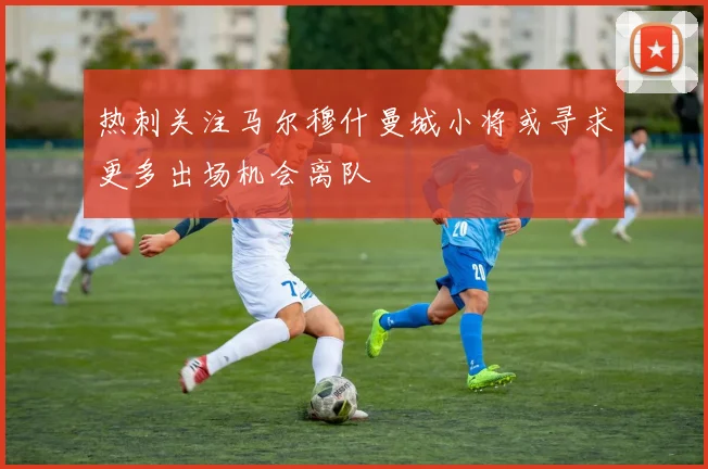热刺关注马尔穆什曼城小将或寻求更多出场机会离队